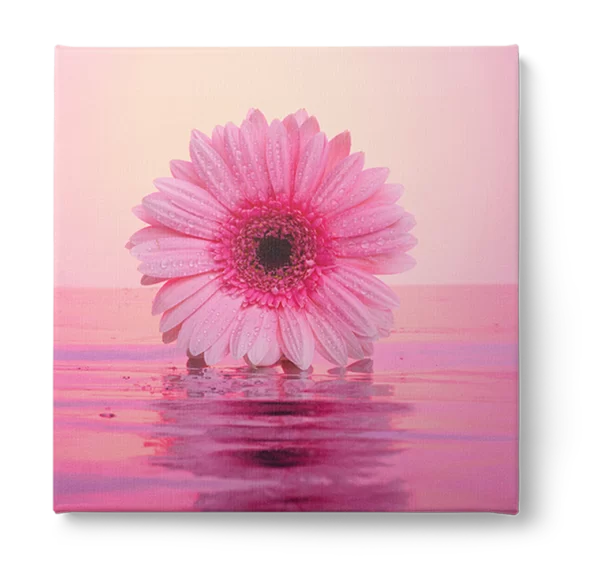 Rolled Canvas Prints - Image 2